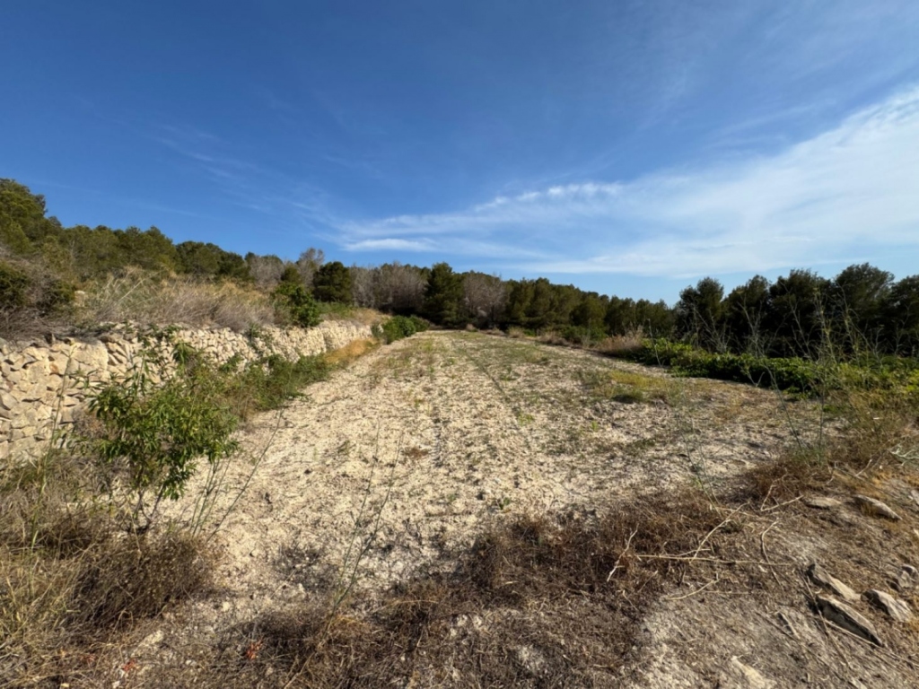 plot in Benissa