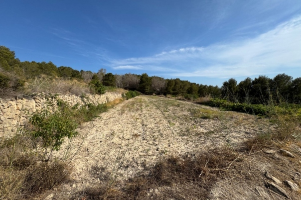 plot in Benissa