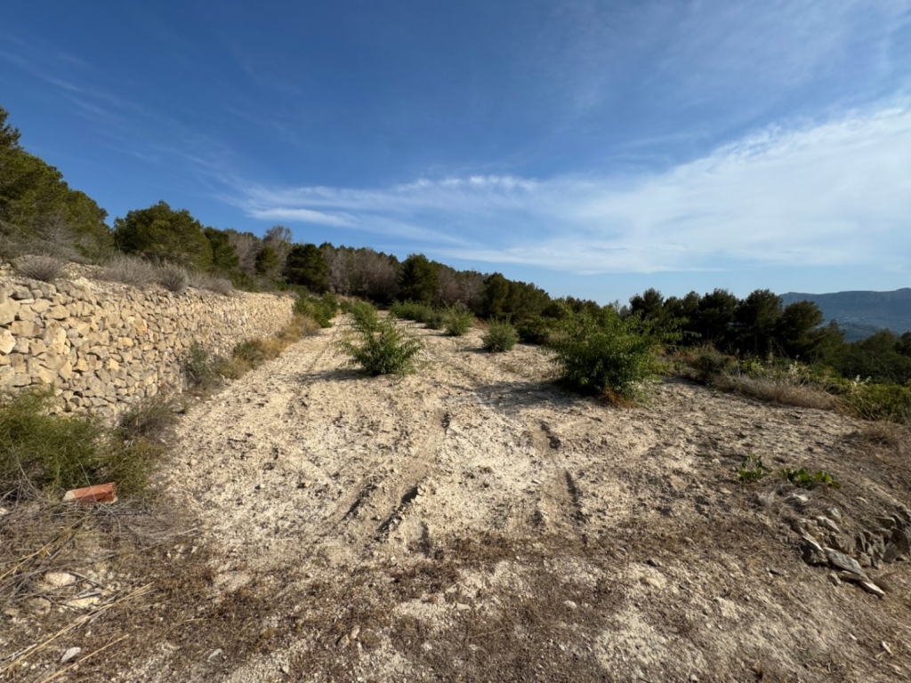 plot in Benissa