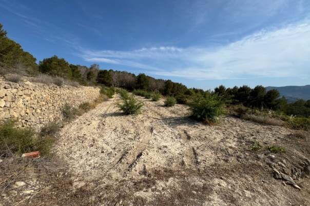 plot in Benissa