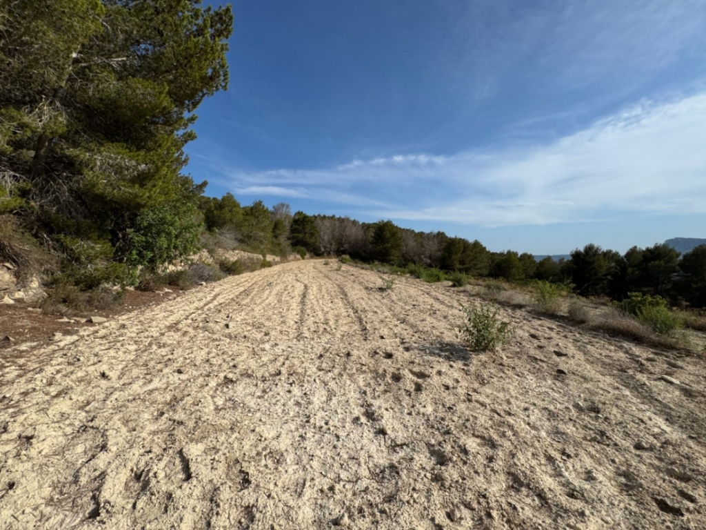 plot in Benissa