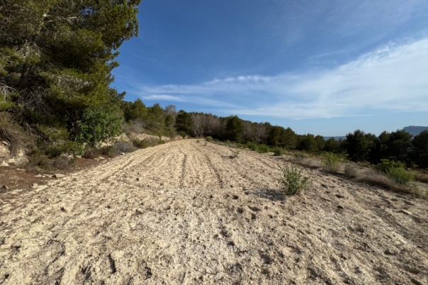 plot in Benissa