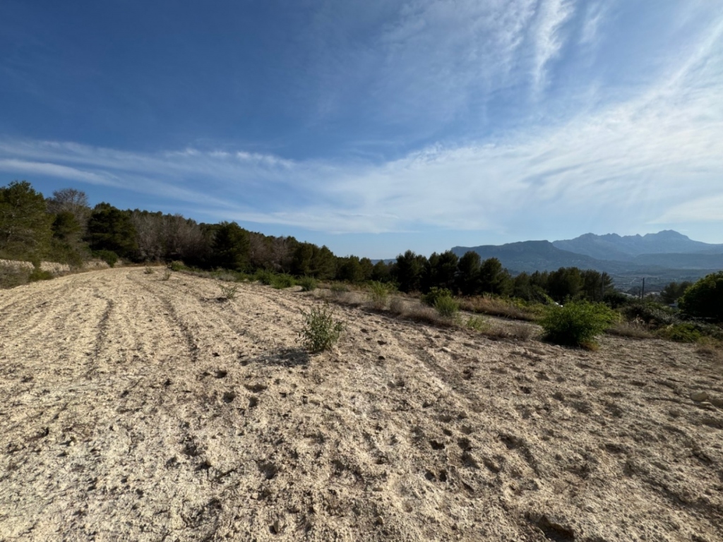 plot in Benissa