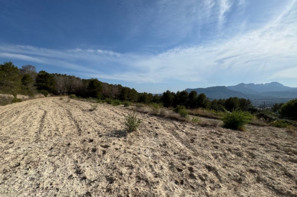 plot in Benissa