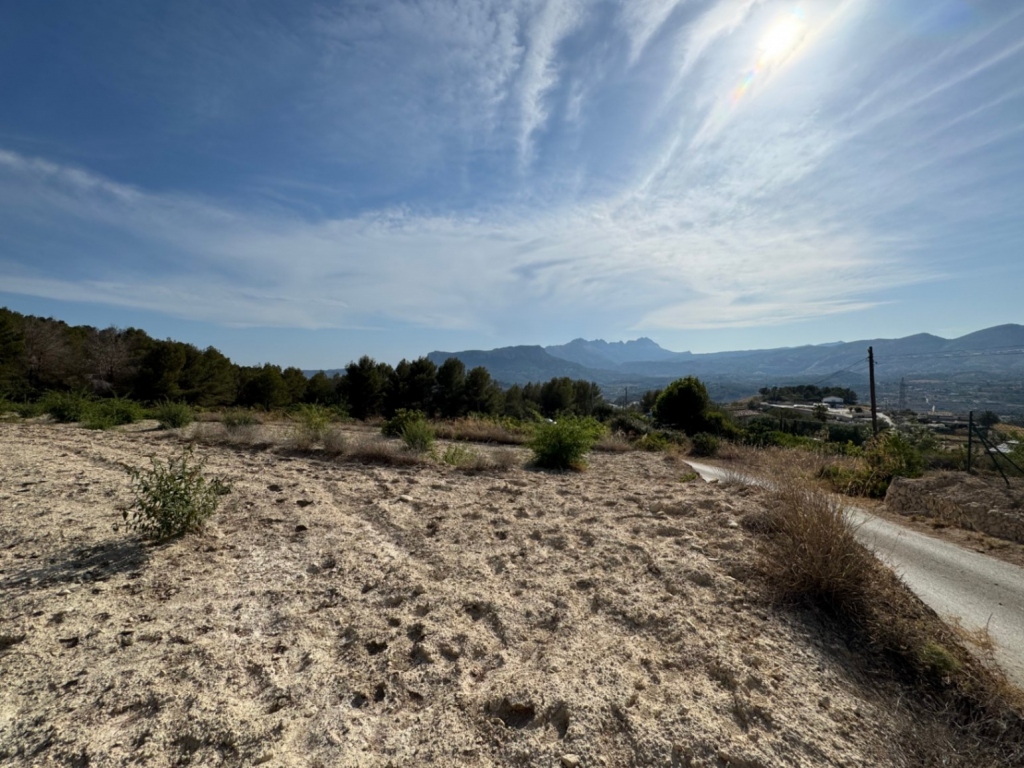 plot in Benissa