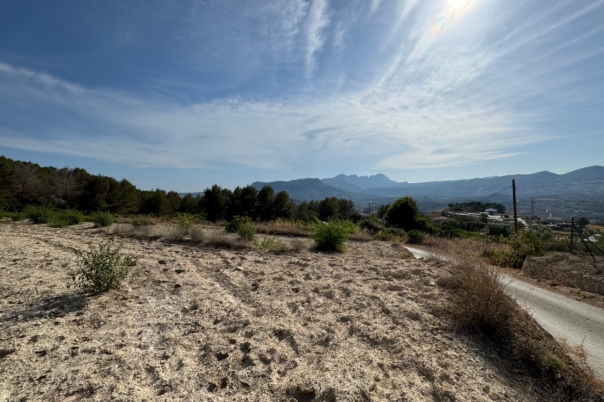 plot in Benissa