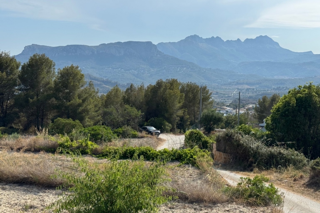 plot in Benissa