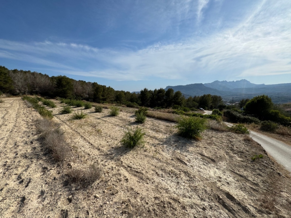 plot in Benissa