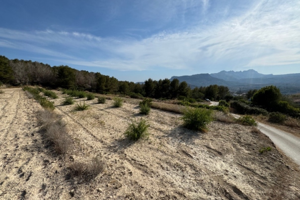plot in Benissa