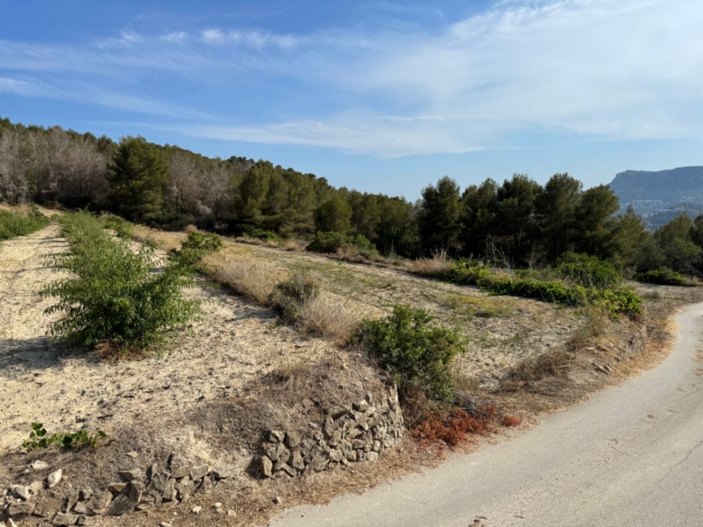 plot in Benissa