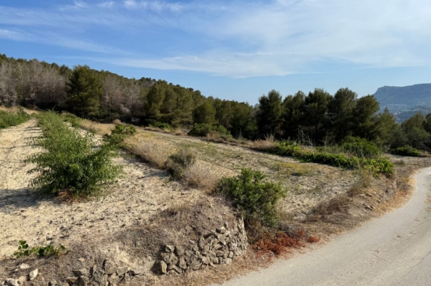 plot in Benissa