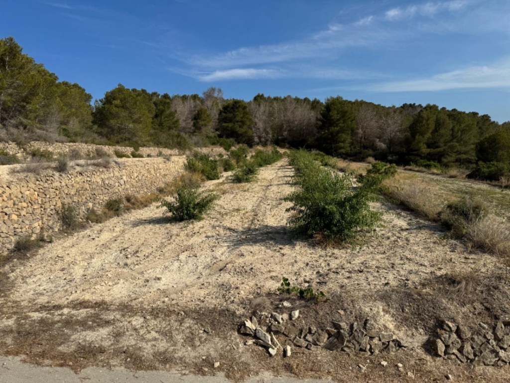 plot in Benissa