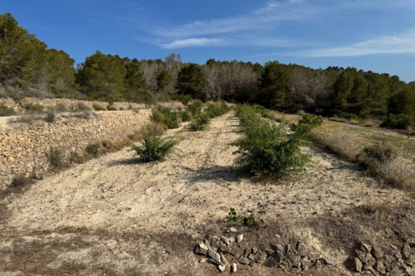 plot in Benissa