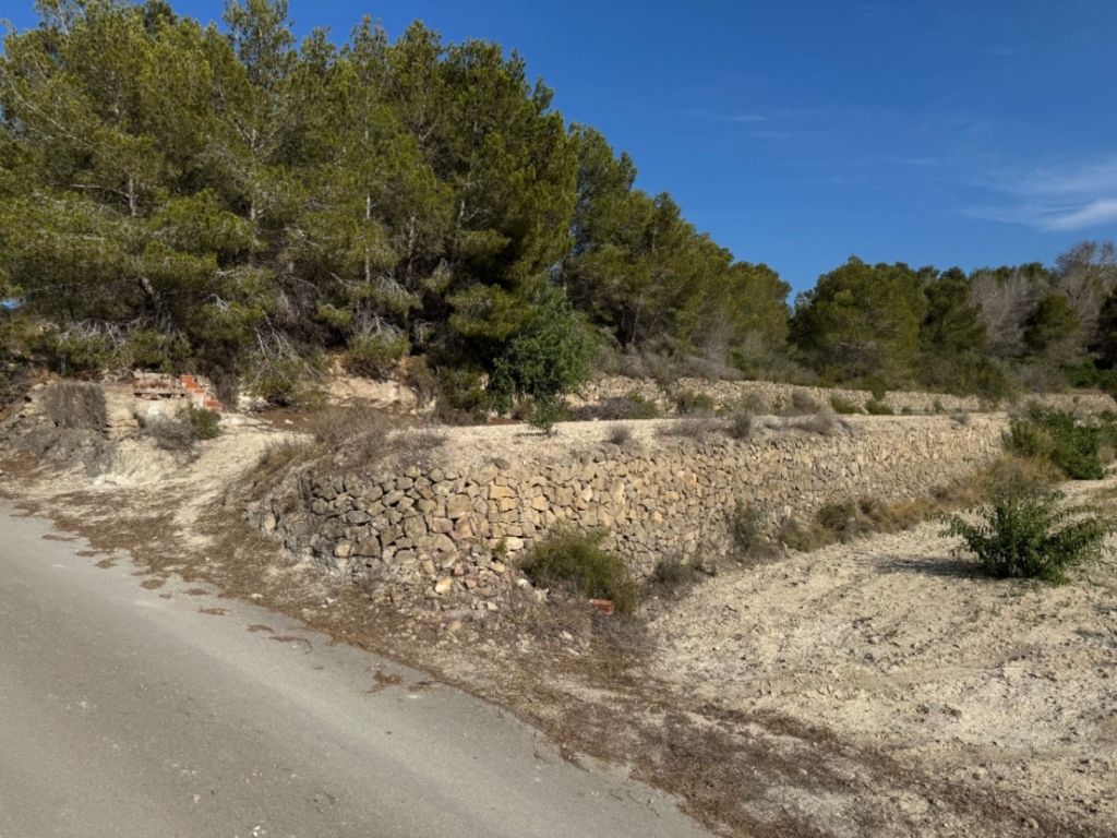 plot in Benissa