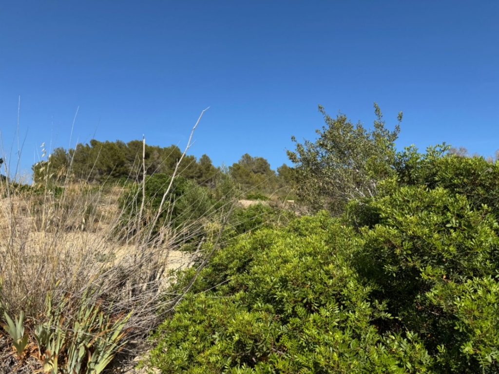 plot in Benissa
