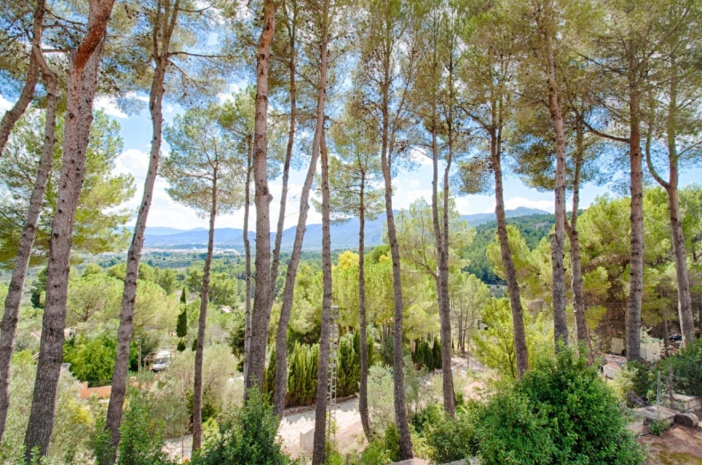 4 bed finca in Muro d'Alcoi