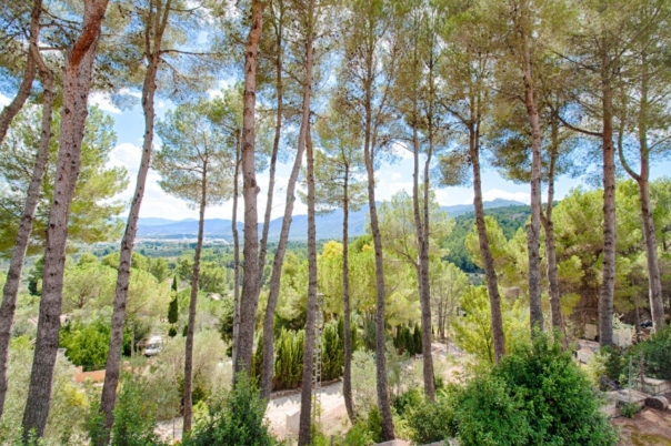 4 bed finca in Muro d'Alcoi