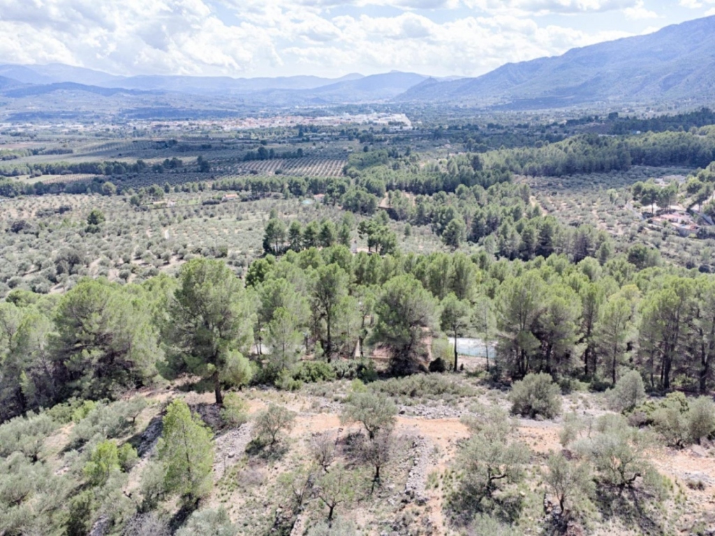 4 bed finca in Muro d'Alcoi
