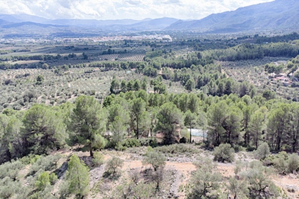 4 bed finca in Muro d'Alcoi