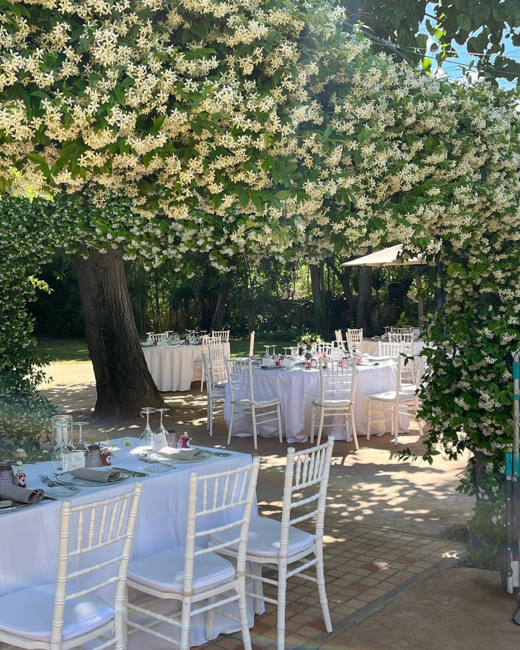 Wedding Planner Costa Blanca - Your Dream Wedding in Spain