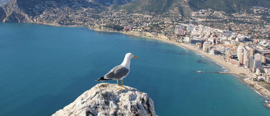 Peñon de Ifach - Taking a Hike up Calpe Rock