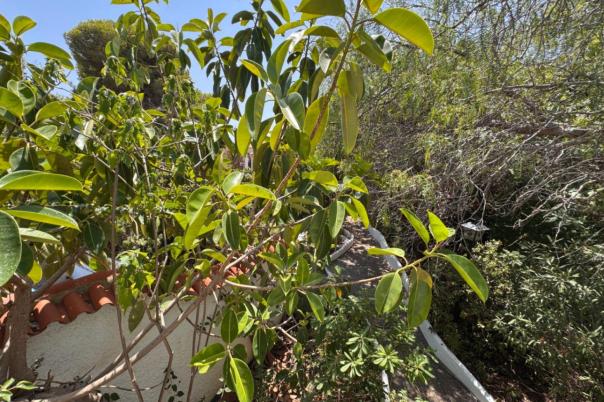 6 bed villa in Benissa
