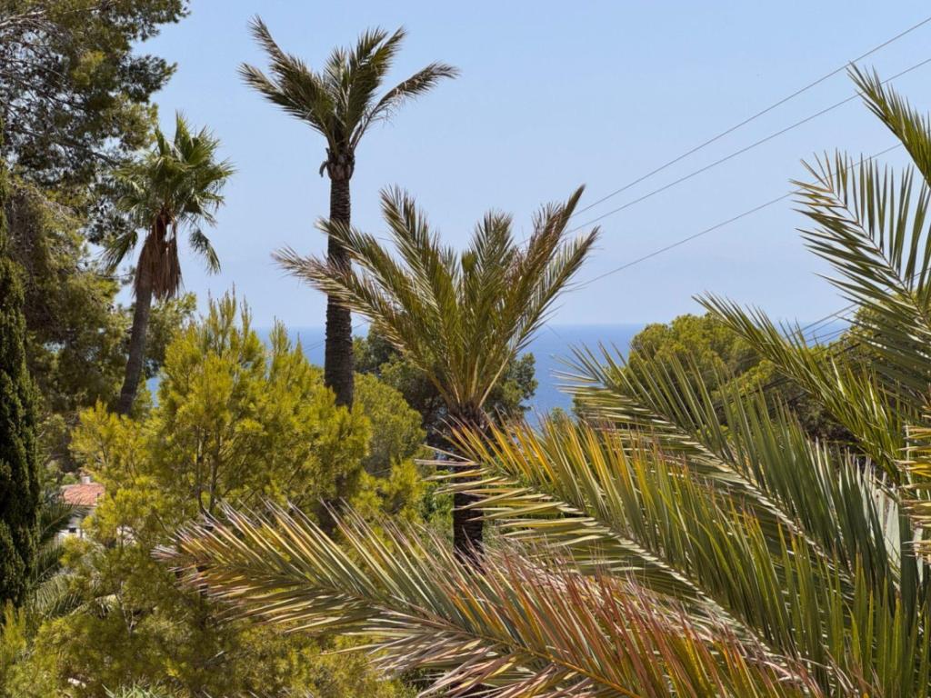 6 bed villa in Benissa