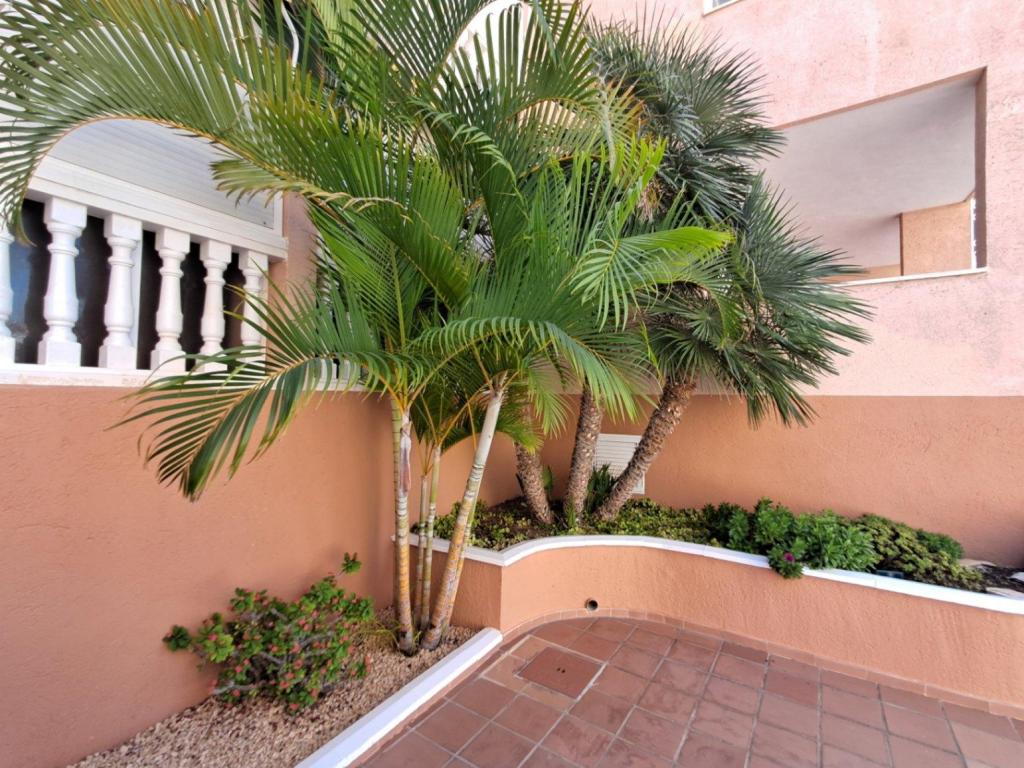 2 bed apartment in Benidorm