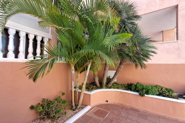 2 bed apartment in Benidorm