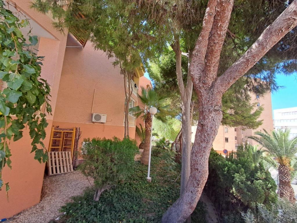 2 bed apartment in Benidorm