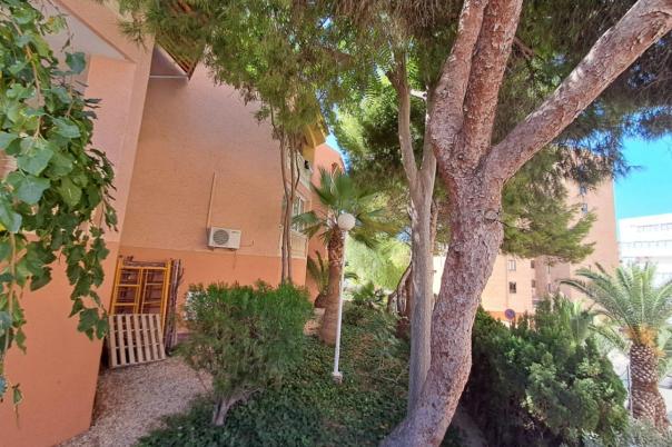 2 bed apartment in Benidorm