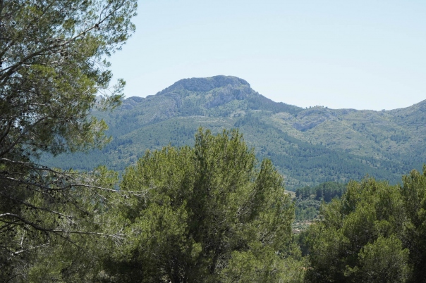 3 bed villa in Alcalalí