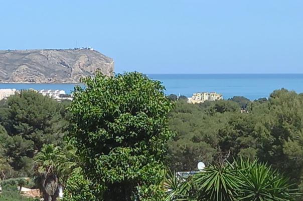 4 bed villas in Javea