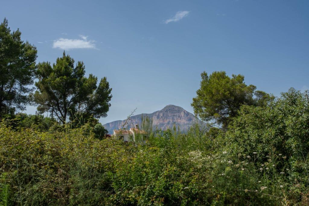 plot in Jávea