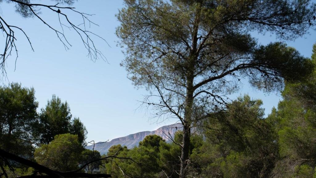 plot in Jávea