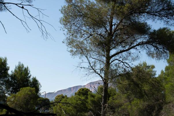 plot in Jávea