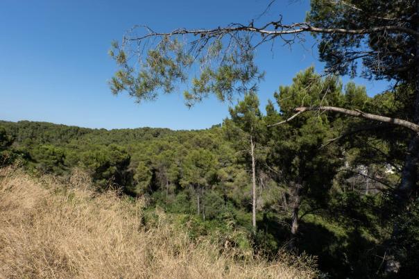 plot in Jávea