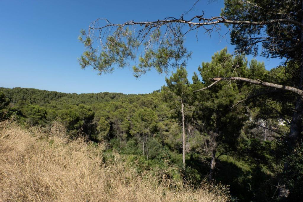plot in Jávea