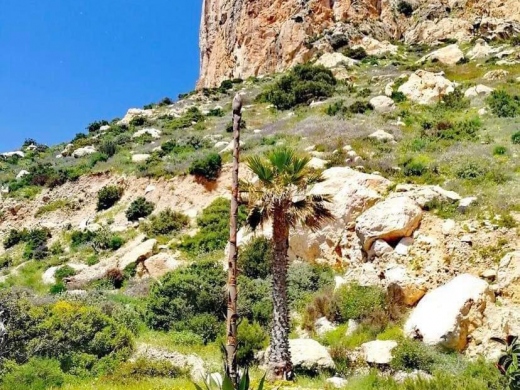 Ruta Paseo Príncesa de Asturias - Calpe Walks