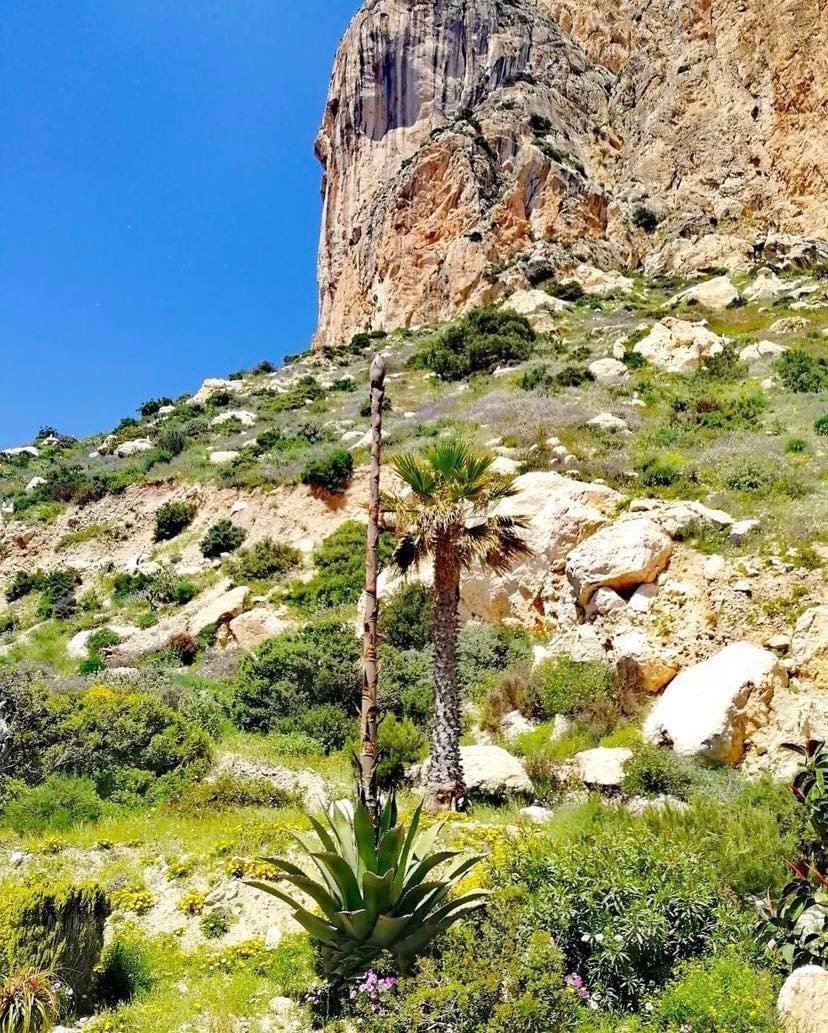 Ruta Paseo Príncesa de Asturias - Calpe Walks