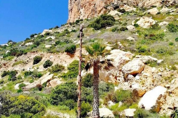 Ruta Paseo Príncesa de Asturias - Calpe Walks