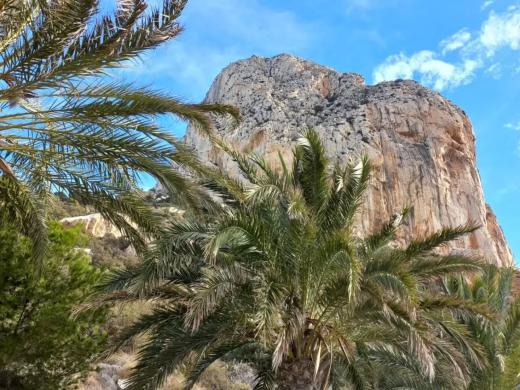 Ruta Paseo Príncesa de Asturias - Calpe Walks