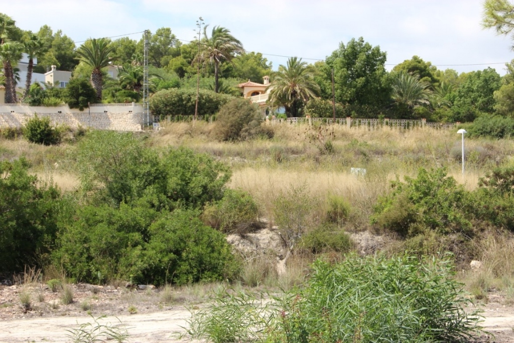 plot in Moraira