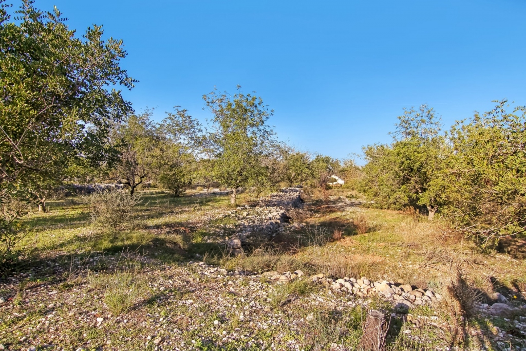 plot in Parcent