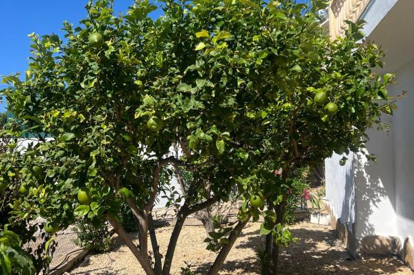 4 bed villas in Moraira