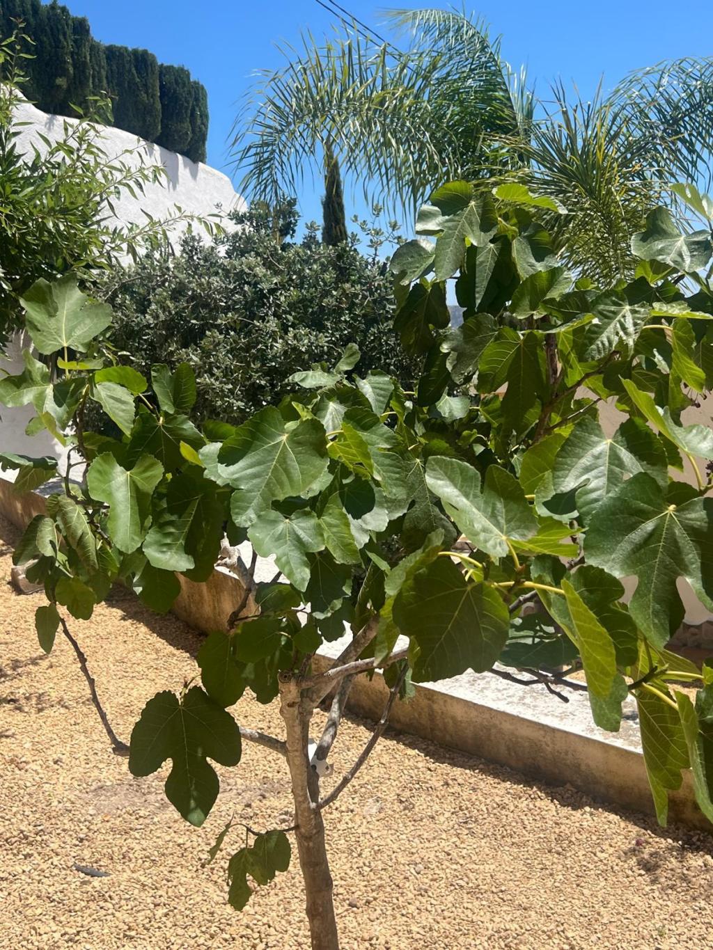 4 bed villas in Moraira