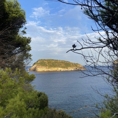 Miradores de Javea: Viewpoint Creu del Portitxol