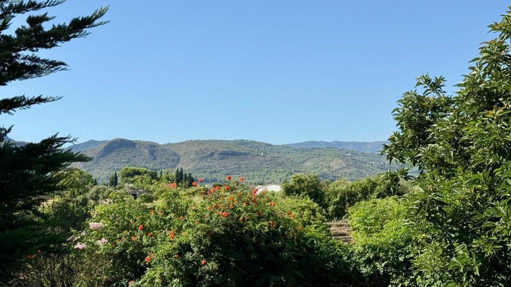 5 bed villas in Denia