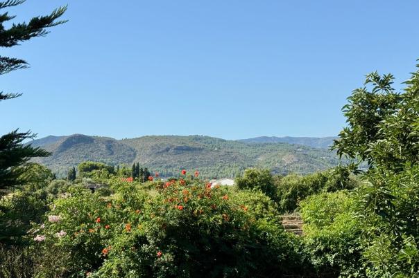 5 bed villas in Denia