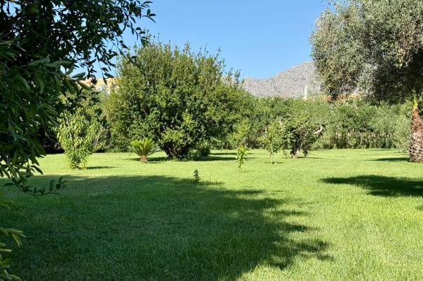5 bed villas in Denia